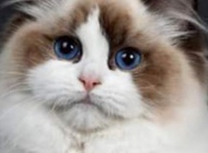 0d663557-7664-4150-8a55-9ab4c4abe4a7
