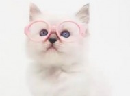 Screenshot_20190501-201851_Gallery