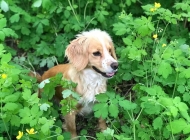 IMG-20190501-WA0001