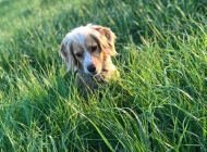 IMG-20190501-WA0008