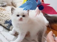 1_FB_IMG_1566804023349