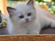 1_FB_IMG_1566804710810