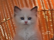 1_FB_IMG_1566804719815