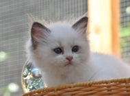 1_FB_IMG_1566804736483