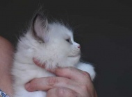 1_FB_IMG_1566804752776