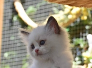 FB_IMG_1566804728709