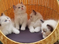 FB_IMG_1567353856175