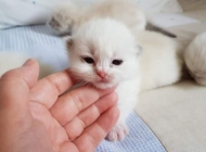 FB_IMG_1567372878094