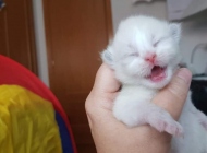 FB_IMG_1567372981142