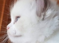 Screenshot_20190819-195102_Samsung-Experience-Home