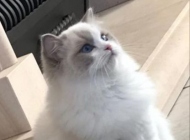 20190428_213138