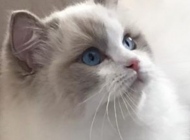 20190428_213238
