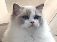 Screenshot_20190215-154922_WhatsApp
