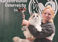 bis-oostenrijk